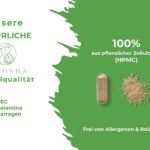 180 Kapseln Brahmi Kapseln Bio hochdosiert ayurvedisch vegan | QIDOSHA