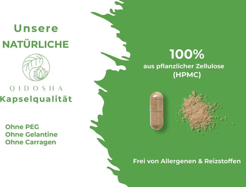 180 Kapseln Brahmi Kapseln Bio hochdosiert ayurvedisch vegan | QIDOSHA