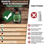 180 Gerstengras Kapseln Bio – 3000 mg Tagesdosis vegan & zertifiziert | SCHEUNENGUT