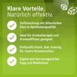 5 ml Klare Gedanken Duftmischung | Ätherische Öle für mehr Fokus & Klarheit | Casida
