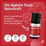 5 ml Casida Adventszauber Duftmischung | Warmer Weihnachtsduft mit ätherischen Ölen