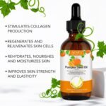 60ml Bio Kürbiskernöl für Haare – Kaltgepresst & pflegend | Aliver
