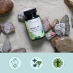 180 Jod aus Bio Kelp Kapseln – 150 µg reines Jod aus Braunalgen, vegan | Vegavero