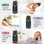 10 ml pro Stück-Ätherisches Öle Set | Upgrade-Paket für Entspannung & Schlaf | Janolia