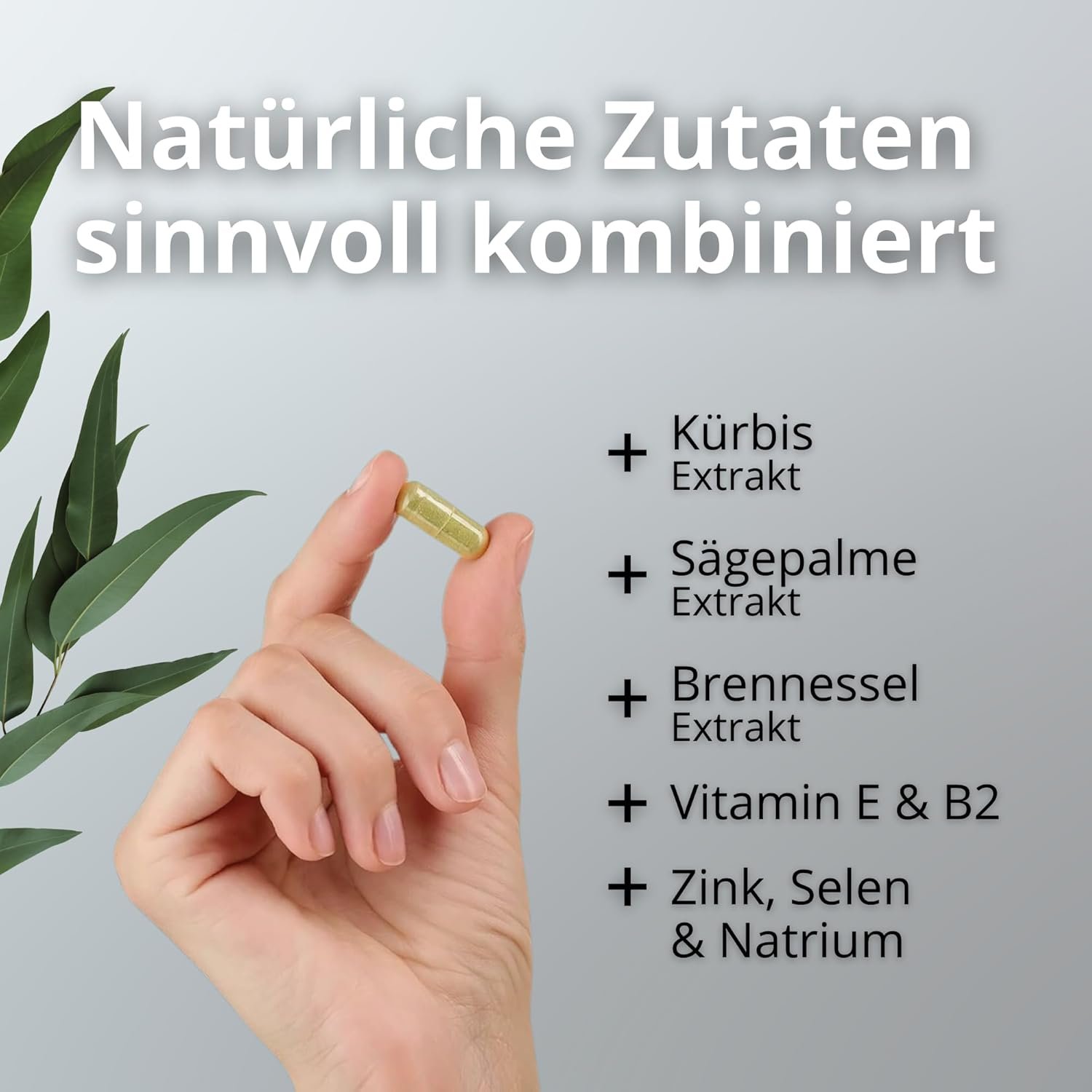 120 Kürbiskern Kapseln – mit Sägepalmen- & Brennnesselextrakt, Zink & Selen | Naturklar