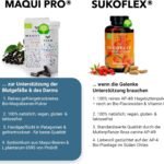 60 Synbiotikum Kapseln mit Maquibeeren – Probiotika & Präbiotika, bio & vegan | SUKO