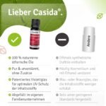 10 ml Weihnachtsduft Öl Frohes Fest | Ätherisches Weihnachtsöl mit Zimt & Orange | Casida
