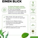 365 Bio Kelp Jod Tabletten – 200 µg natürliches Jod aus Braunalgen, vegan & hochdosiert | Vit4ever