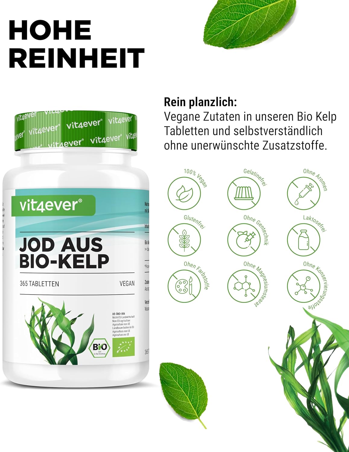 365 Bio Kelp Jod Tabletten – 200 µg natürliches Jod aus Braunalgen, vegan & hochdosiert | Vit4ever
