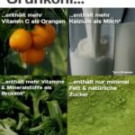 25x2g Grünkohl Pulver Bio – gefriergetrocknet & nährstoffreich | KaLOHaS+