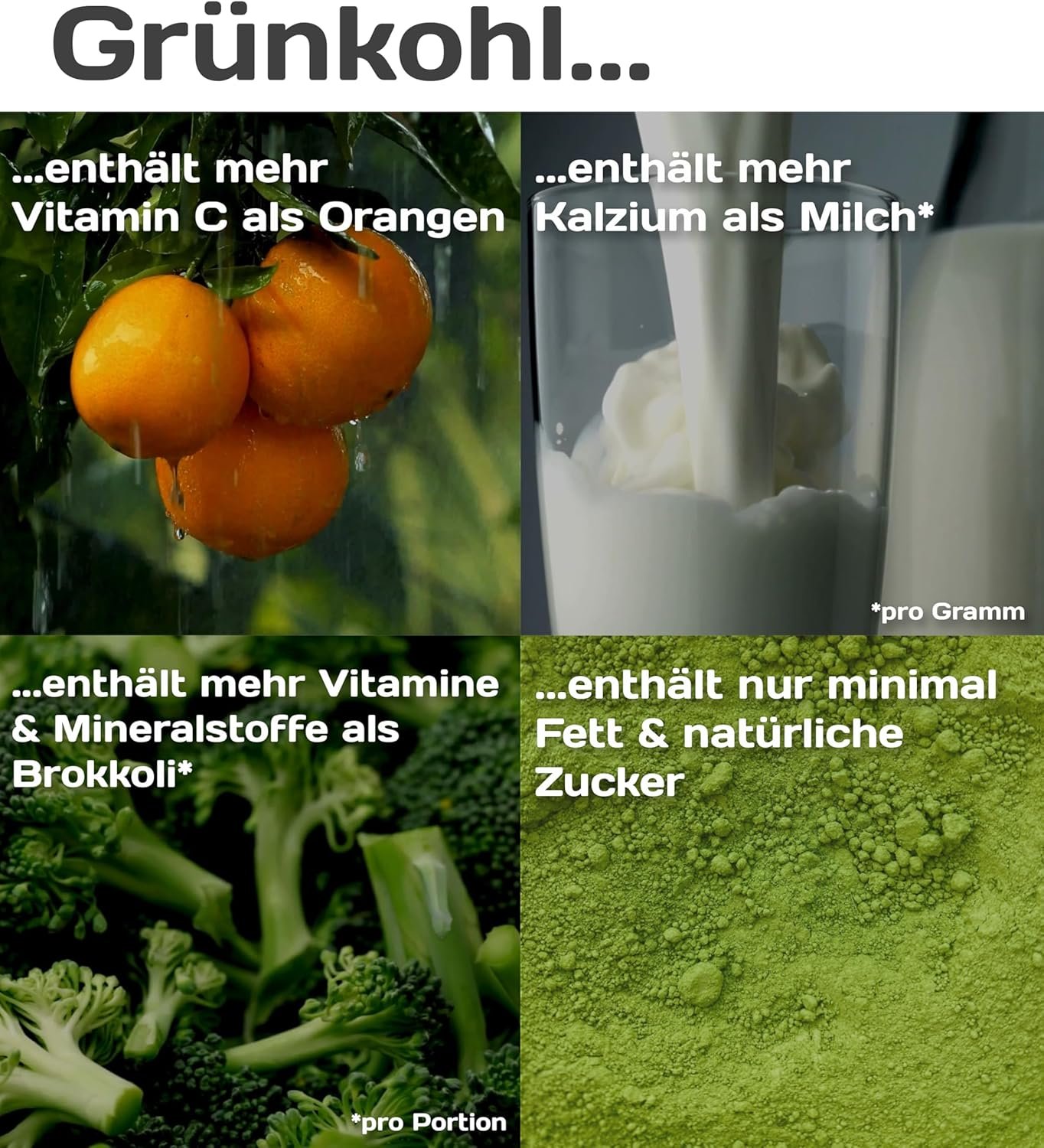 25x2g Grünkohl Pulver Bio – gefriergetrocknet & nährstoffreich | KaLOHaS+