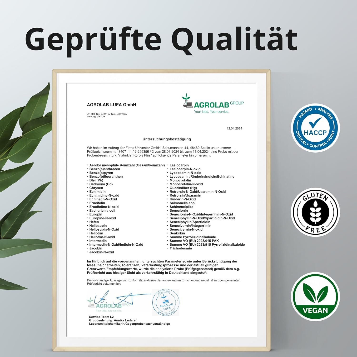 120 Kürbiskern Kapseln – mit Sägepalmen- & Brennnesselextrakt, Zink & Selen | Naturklar