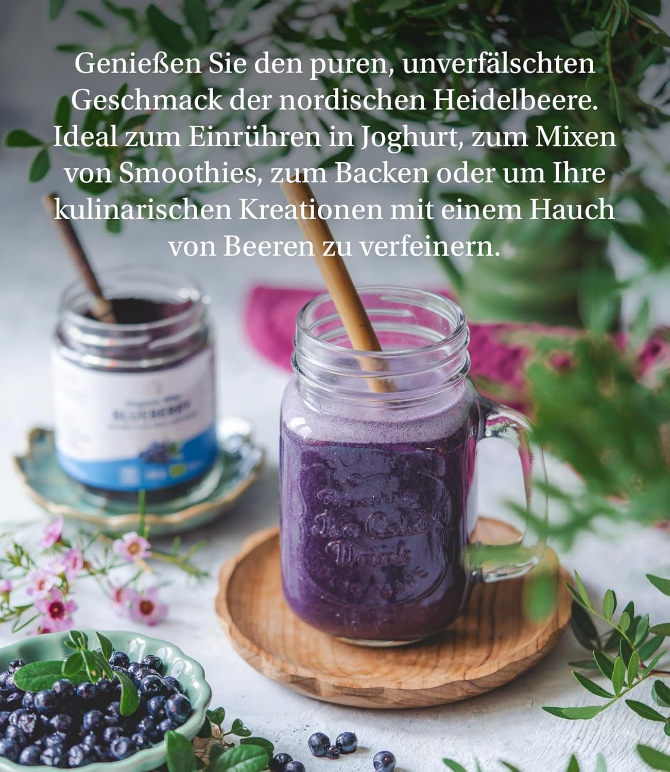 81ayPq3ymXL._AC_SL1500_ 100g Wildheidelbeer Tresterpulver Bio – aus Schalen & Kernen | LOOV