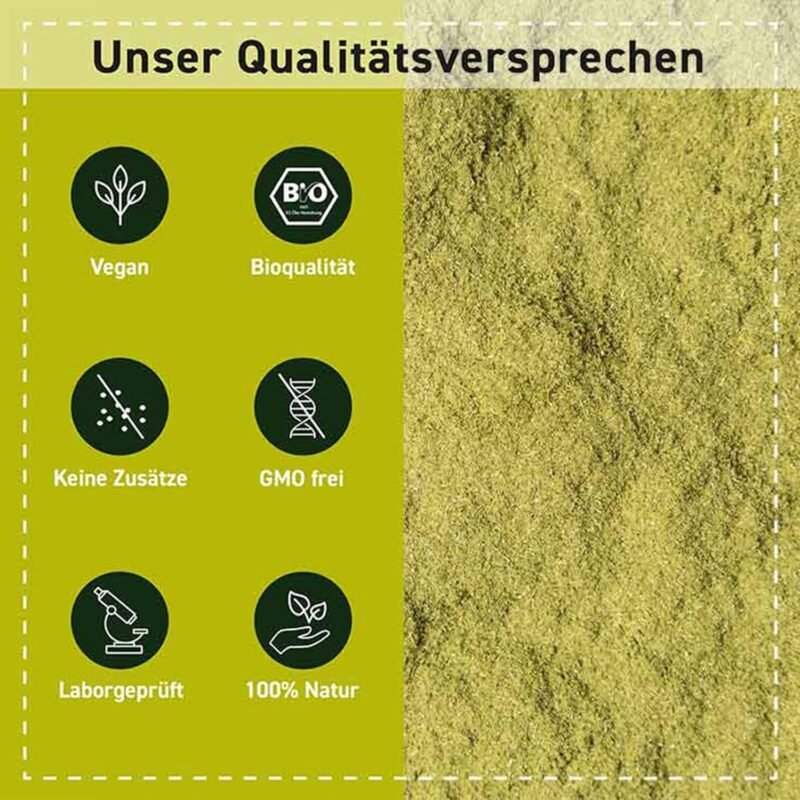 250g Brahmi Bio Pulver fein gemahlen ayurvedisch vegan | Biotiva