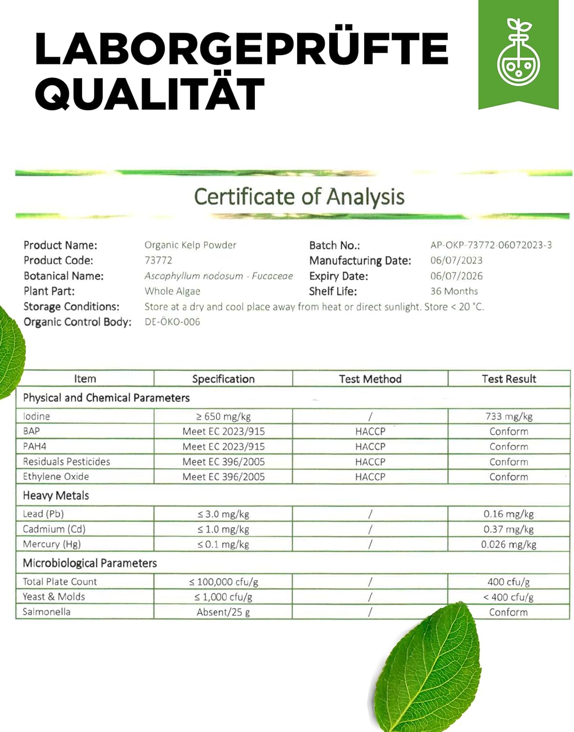 365 Bio Kelp Jod Tabletten – 200 µg natürliches Jod aus Braunalgen, vegan & hochdosiert | Vit4ever