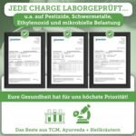 180 Kapseln Brahmi Kapseln Bio hochdosiert ayurvedisch vegan | QIDOSHA