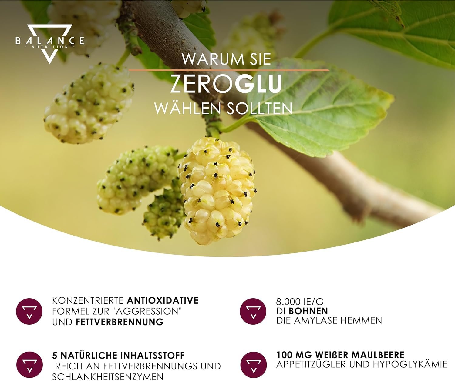 60 Stk. Fettverbrenner Detox Kapseln – Diät & Gewichtskontrolle | Balance Nutrition