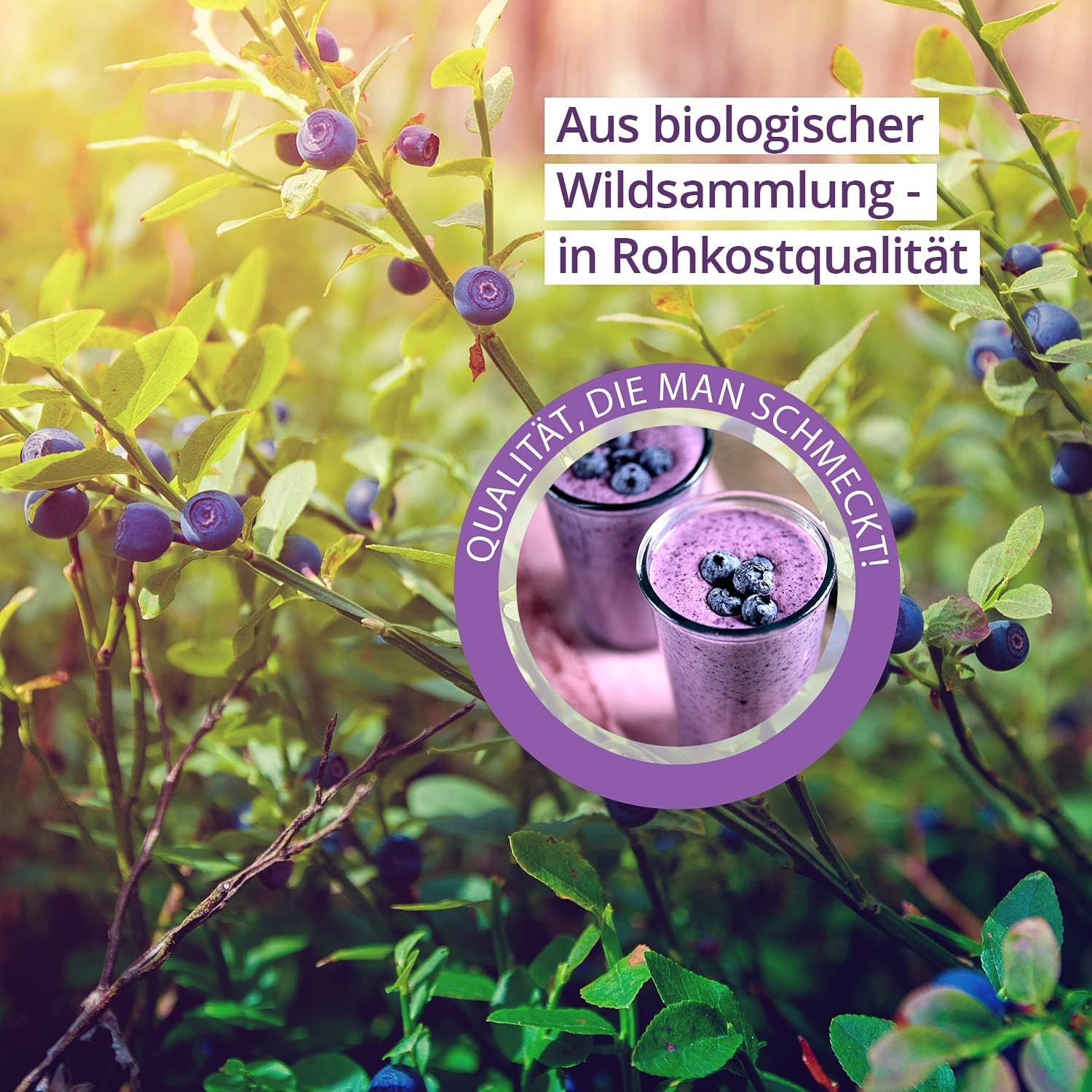 200g Wilde Heidelbeeren Bio Pulver – roh & antioxidativ | Effective Nature