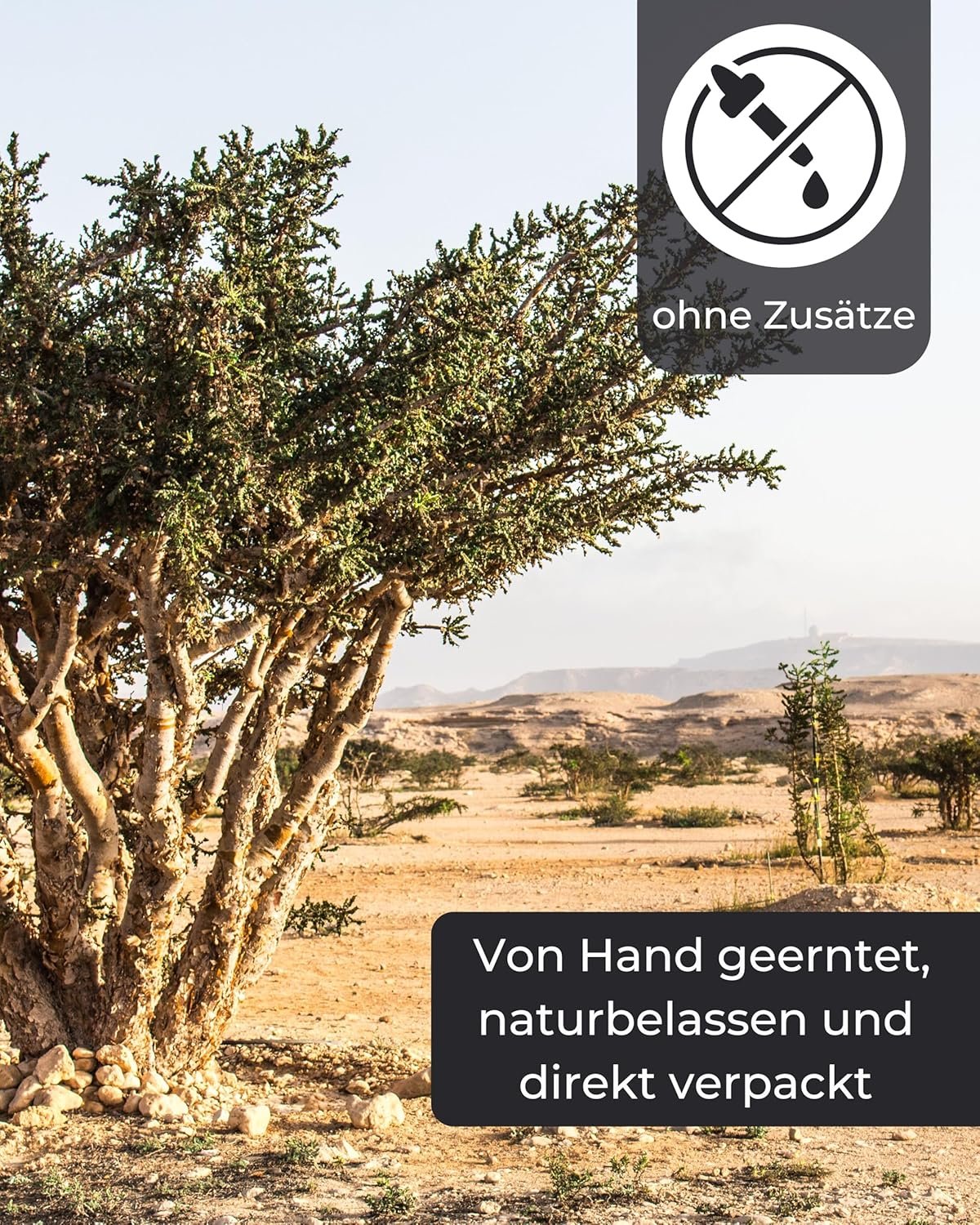 150g Weihrauch Myrrhe Set mit Räucherkohle – Granulat aus Harz für Rituale & Meditation | Incensera