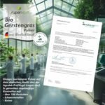 500g Gerstengras Pulver Bio – Rohkostqualität aus Bayern | Superkost
