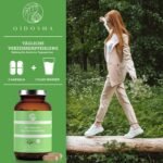 180 Kapseln Brahmi Kapseln Bio hochdosiert ayurvedisch vegan | QIDOSHA