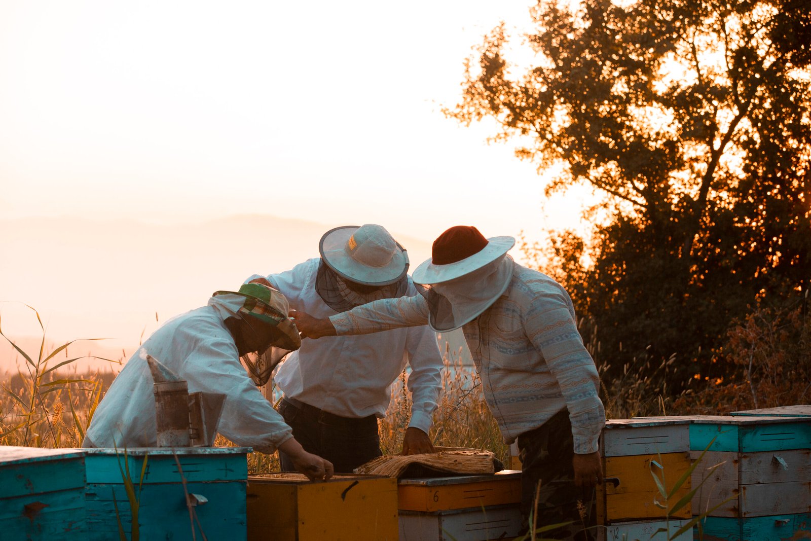 About Us – Honeybee Über Uns