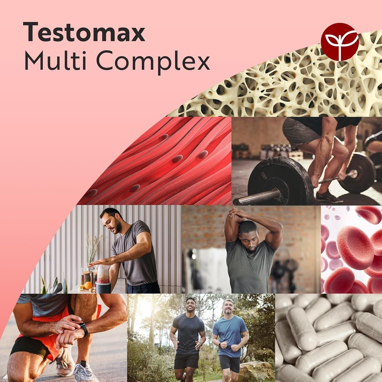 Testomax für Männer 120 Kapseln – Hochdosierter Testosteron-Booster Mit 13 Aktiven Inhaltsstoffen – Nutravita