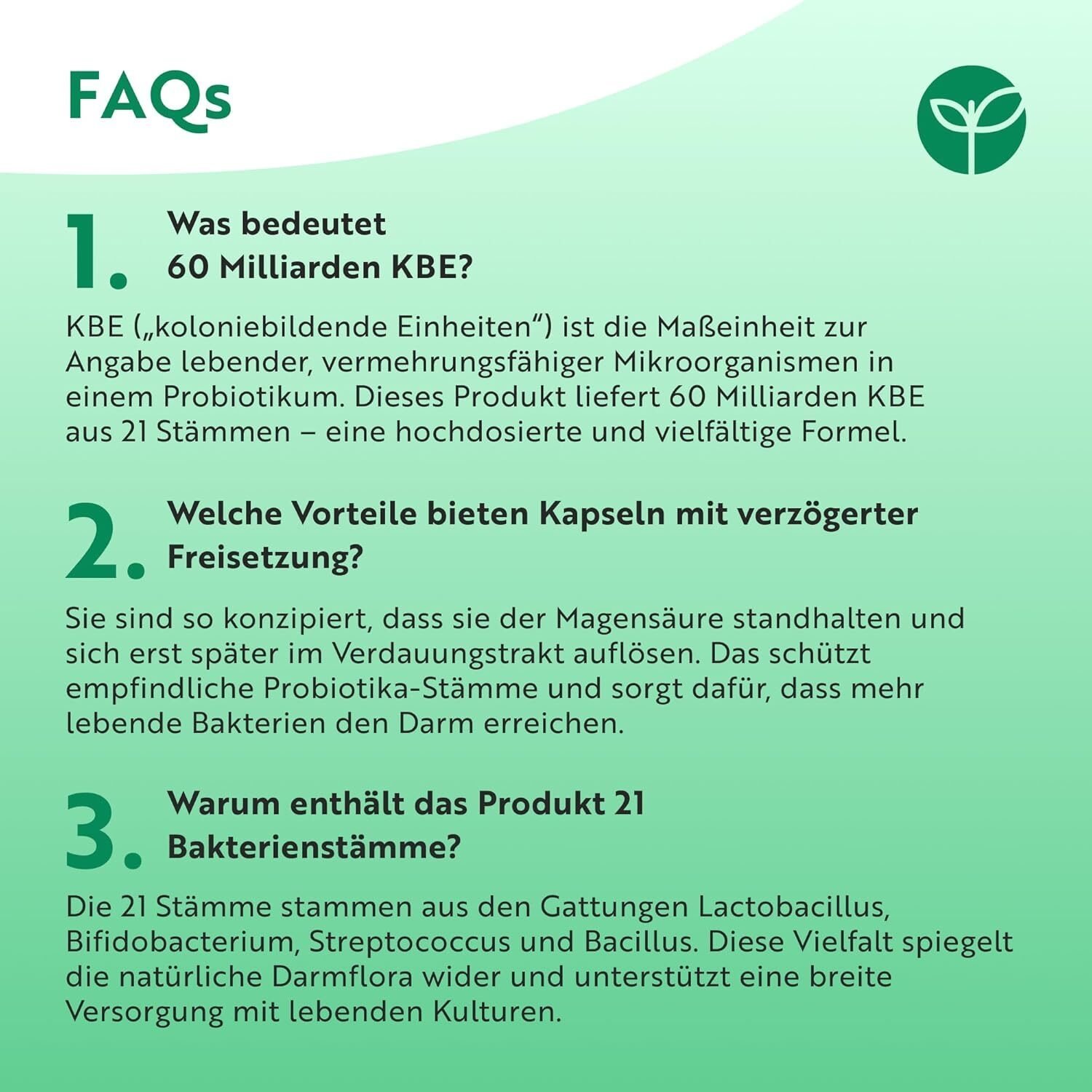 Probiotika 60 Milliarden KBE aus 21 Kulturen – Mit Lactospore® & Inulin – 60 Vegane Kapseln – 1 Monatsvorrat