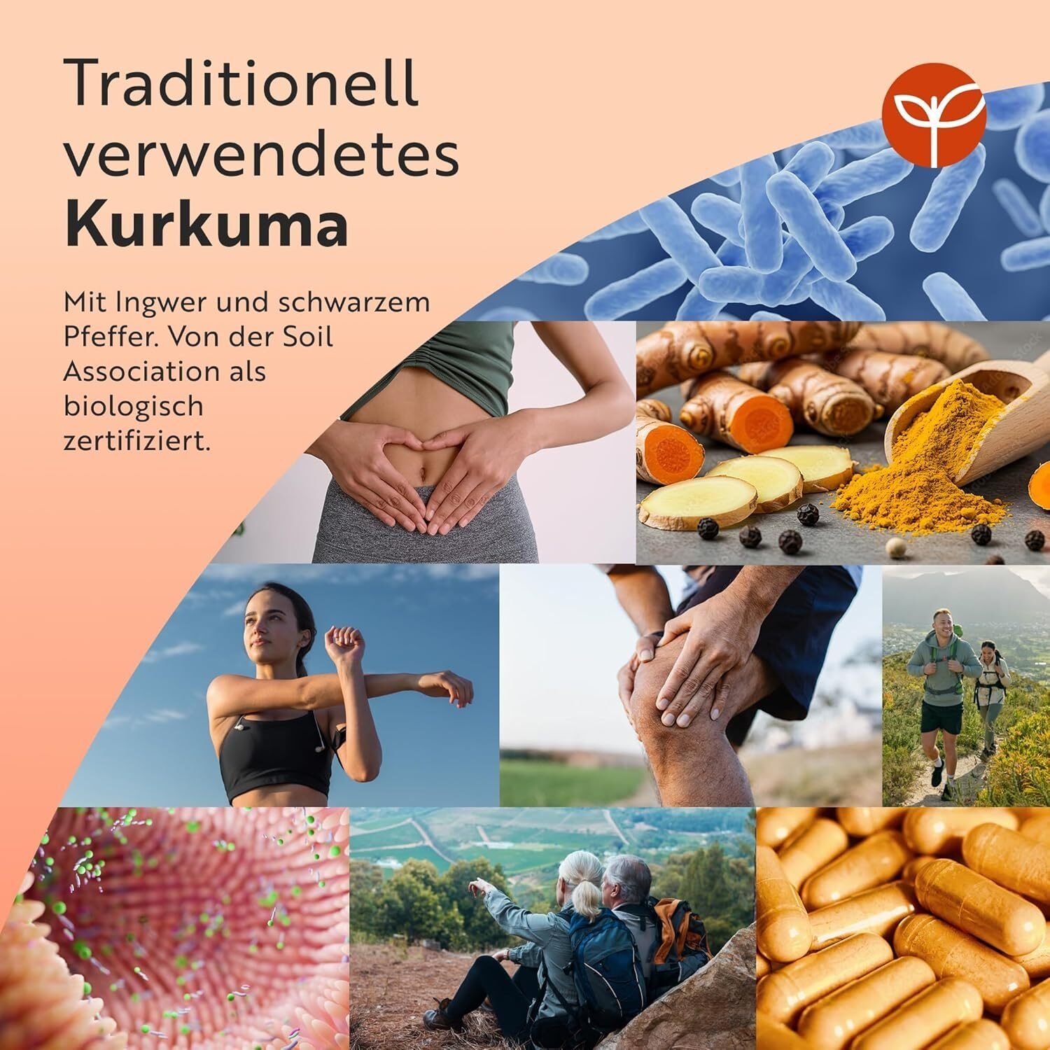 Bio Kurkuma Curcumin 1440 mg mit Schwarzem Pfeffer & Ingwer – 180 Vegane Kurkuma-Kapseln – Hochdosiert