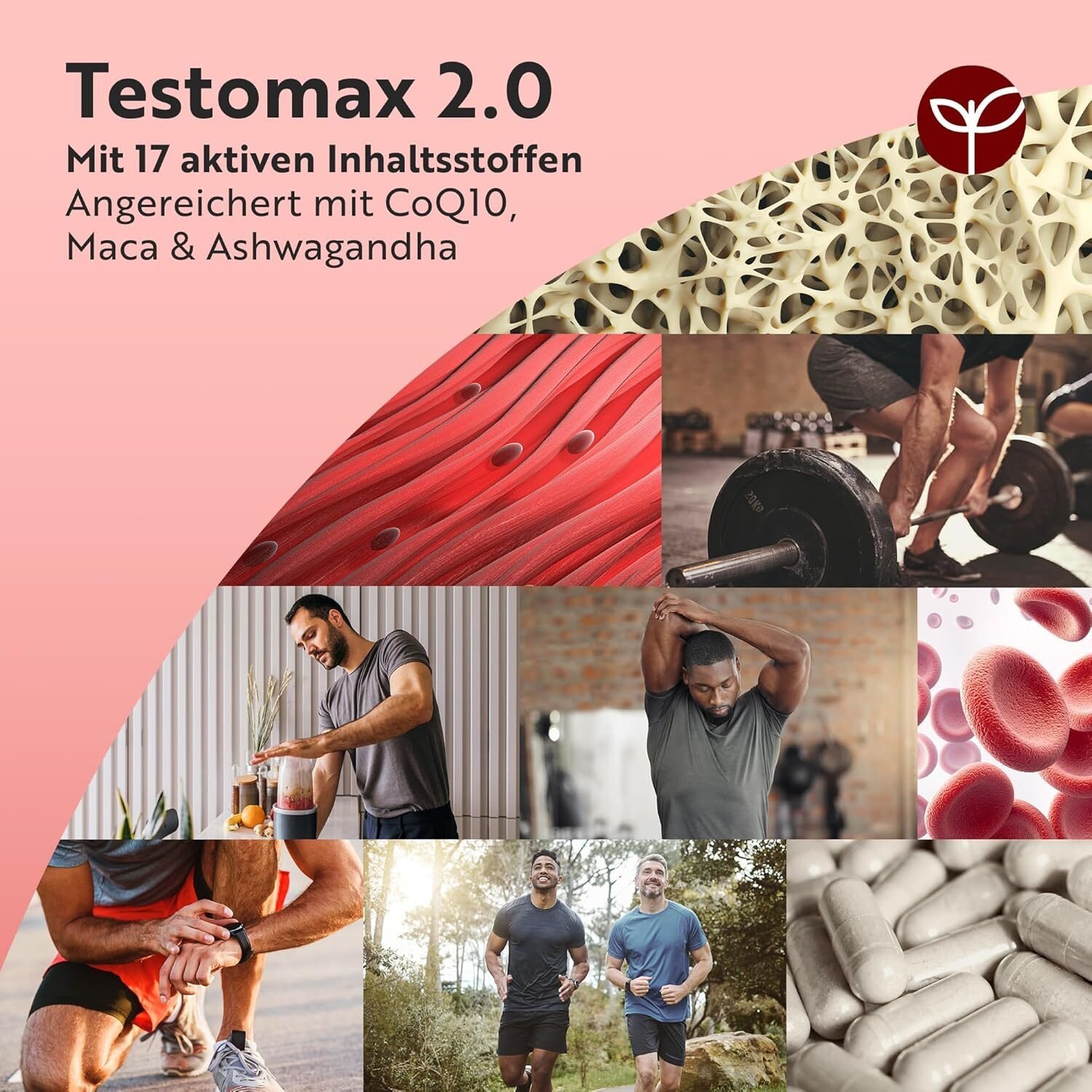 8fba5a088e9151945ccb43cc894c2ec3.jpg TESTOMAX 2.0 210 Kapseln für Männer – Mit 17 Aktiven Inhaltsstoffen – Langzeitformel – Nutravita