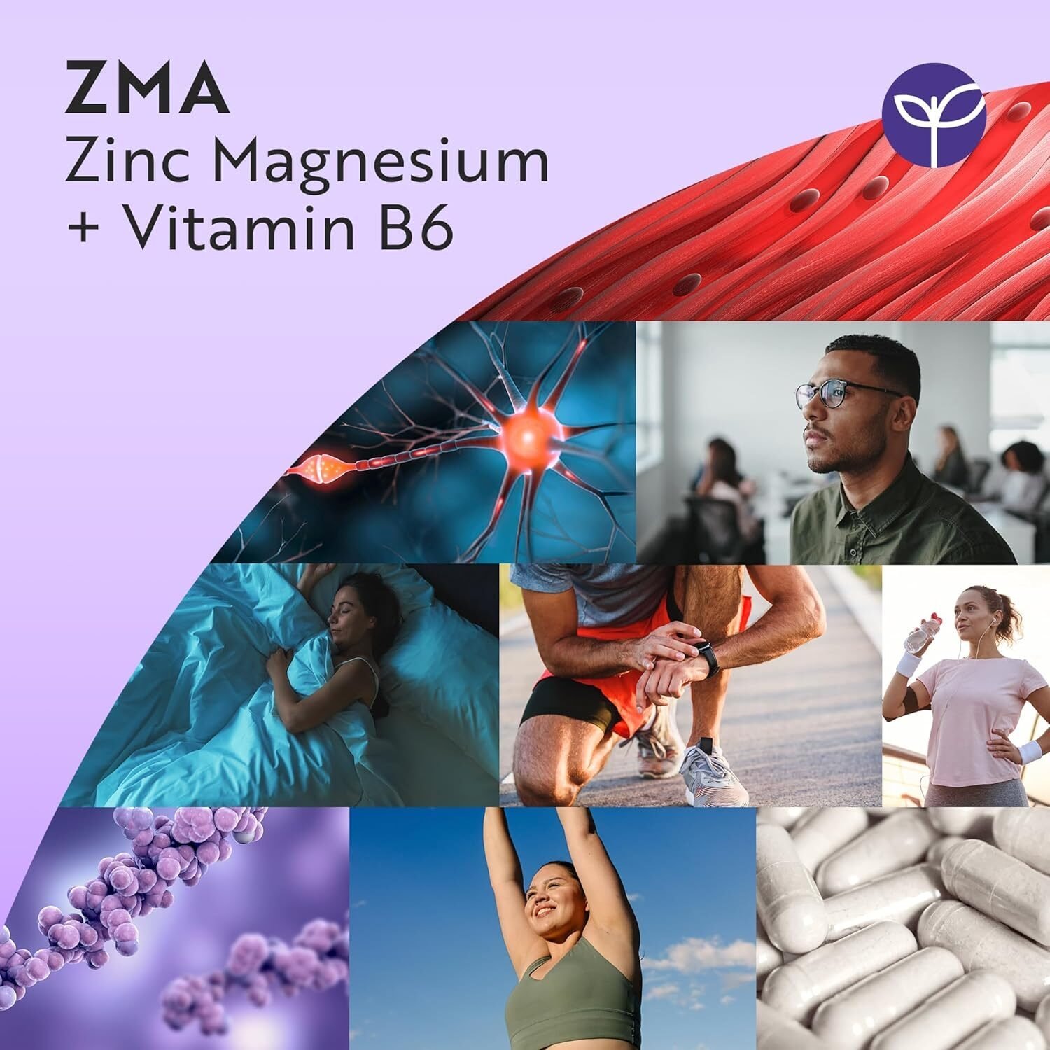c5e2f72c0671f9752a151abc2f070554.jpg ZMA 120 Kapseln – Mit Zink, Magnesium & Vitamin B6 – Hochdosiert – 2 Monatsvorrat – Nutravita