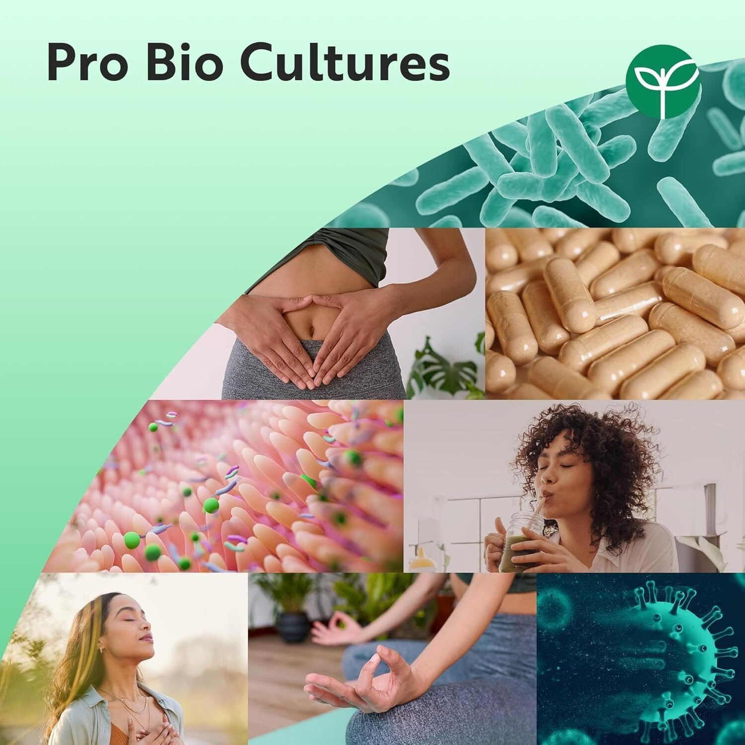Probiotika 60 Milliarden KBE aus 21 Kulturen – Mit Lactospore® & Inulin – 60 Vegane Kapseln – 1 Monatsvorrat