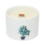 Botanical Duftkerze Lemon Honeysuckle im Keramikglas – Sojawachs Kerze mit Holzdocht, 8 x 7.5 cm