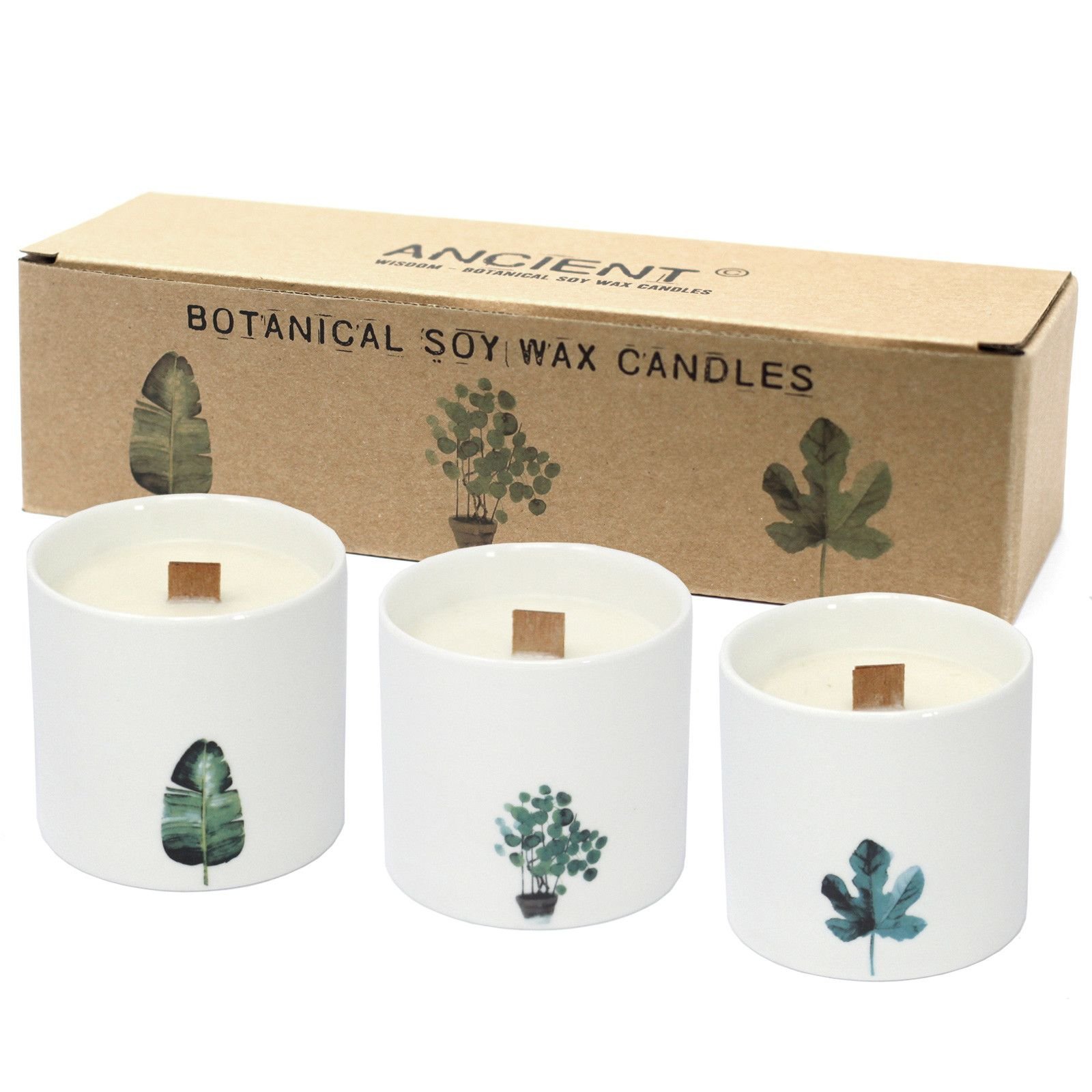 bG9jYWw6Ly9tZWRpYS85UC9KRS82MFIzMEMxRzZNVDNKRTlQLzU4ZGNjNzk0LmpwZWc.jpg Botanische Duftkerzen im Set Marsh Violet – Sojawachs Kerzen im Keramikglas mit Holzdocht, Aromatherapie Duftkerzen Set – 8 x 7.5 cm