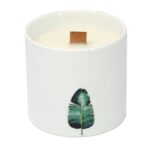 Botanical Duftkerzen Set Wild Jasmine – 3er Kerzen Set mit Holzdocht, Sojawachs & Keramikgläsern