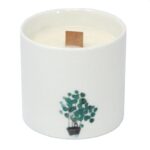 Botanische Duftkerzen im Set Marsh Violet – Sojawachs Kerzen im Keramikglas mit Holzdocht, Aromatherapie Duftkerzen Set – 8 x 7.5 cm – Honigbee Botanische Duftkerzen im Set Marsh Violet – Sojawachs Kerzen im Keramikglas mit Holzdocht, Aromatherapie Duftkerzen Set – 8 x 7.5 cm