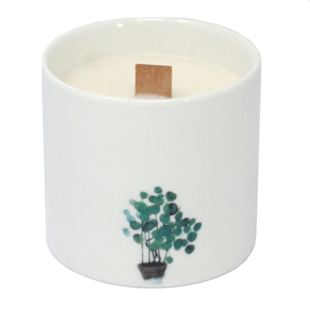 bG9jYWw6Ly9tZWRpYS85Ui9KRS82MFIzMEMxRzZNVDNKRTlSLzQyZjE5ZTkwLmpwZWc.jpg Botanische Duftkerzen im Set Marsh Violet – Sojawachs Kerzen im Keramikglas mit Holzdocht, Aromatherapie Duftkerzen Set – 8 x 7.5 cm