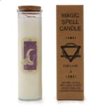 Magic Spell Candle Love – Kerze für Liebe & Manifestation mit Duft und Edelsteinen, 20x5 cm – Honigbee Magic Spell Candle Love – Kerze für Liebe & Manifestation mit Duft und Edelsteinen, 20x5 cm