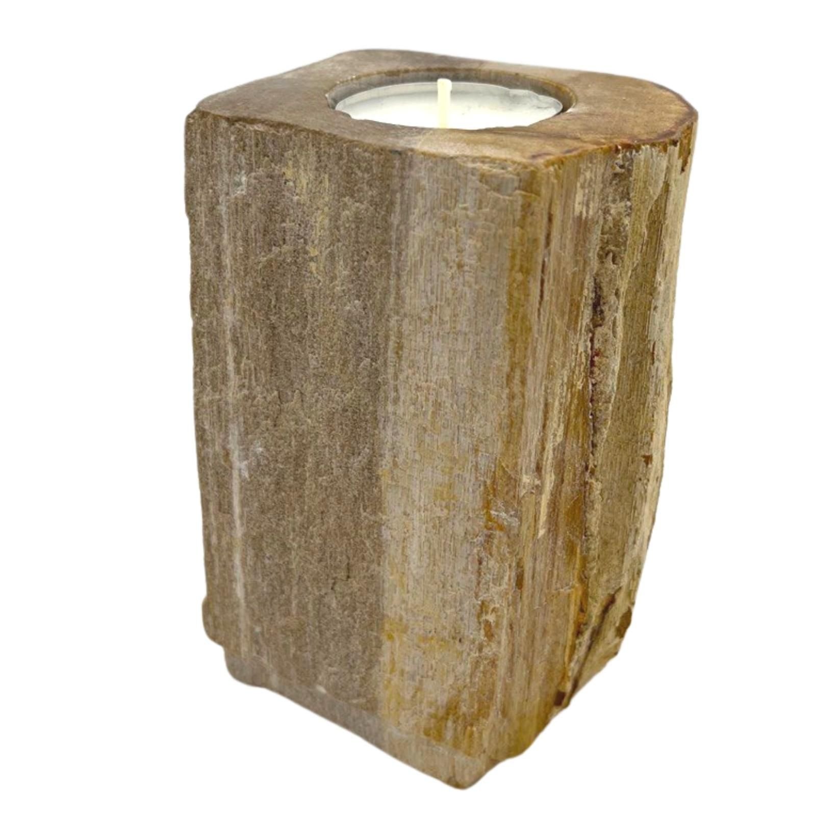 bG9jYWw6Ly9tZWRpYS9TSy9FRC82MFIzMEMxRzZSVjNFRFNLLzFiOWRkMWNlLmpwZWc.jpg Kerzenhalter aus versteinertem Holz – Natur Deko Unikat, Teelichthalter Single Tall 9.5×8.5 cm