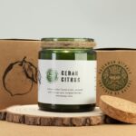 Woodwick Sojakerze Forest Resin – Duftkerze im Glas mit Holzdocht, Wald Duft & Knistereffekt – 9 x 7 cm