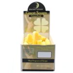 Heart Guest Seife Grapefruit 20g – Herzförmige Gästeseife mit frischem Zitrusduft – Honigbee Heart Guest Seife Grapefruit 20g – Herzförmige Gästeseife mit frischem Zitrusduft