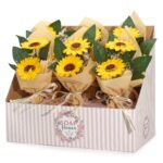 Seifenblumen Sonnenblumenstrauß