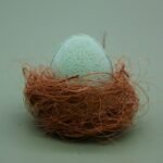 Badeei Mango Badebombe 60g Sprudelbad Wellness Geschenk