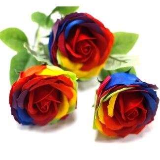 Luxus Seifenblume Regenbogen
