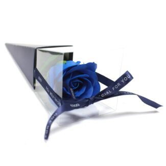 Seifenblume Rose Blau