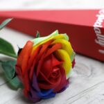 Luxus Seifenblume Regenbogen 63 g Badeblume Geschenk