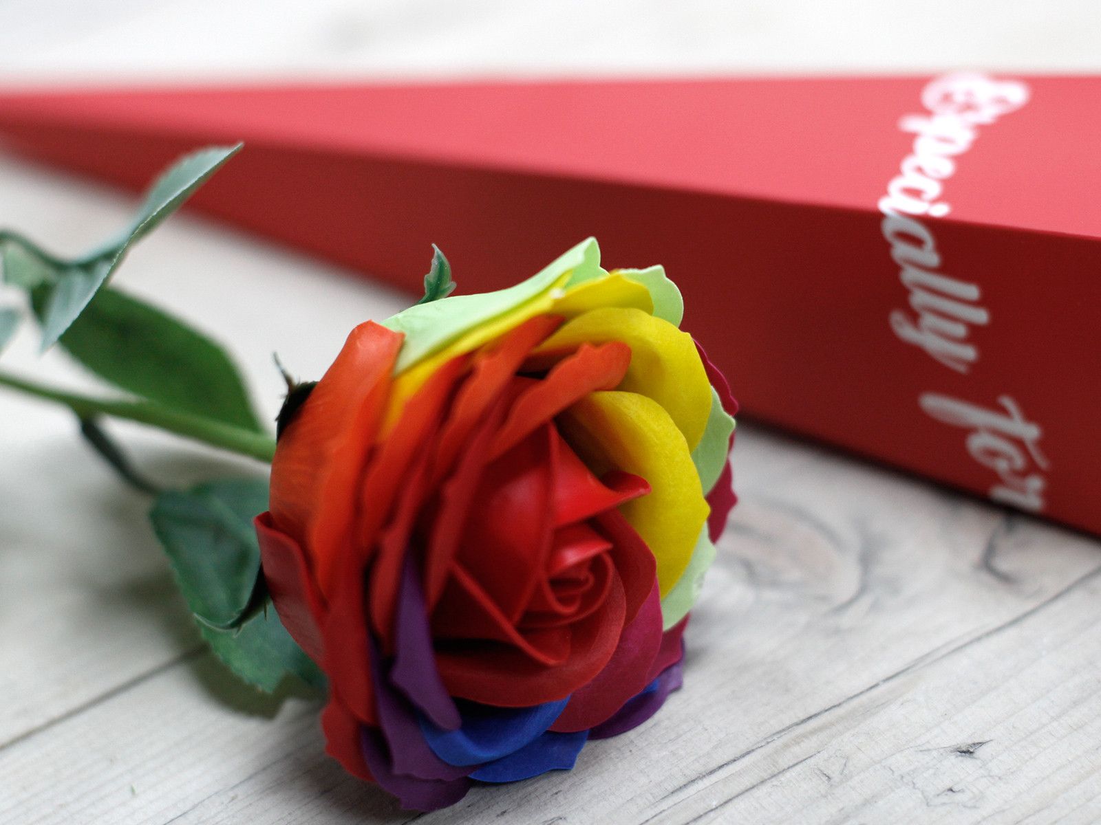 Luxus Seifenblume Regenbogen 63 g Badeblume Geschenk