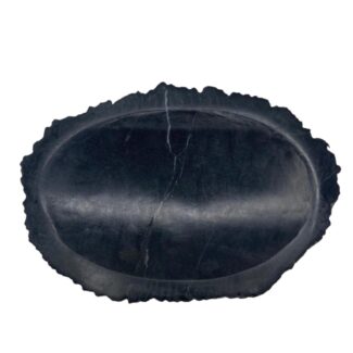 Seifenschale aus Versteinertem Holz Schwarz