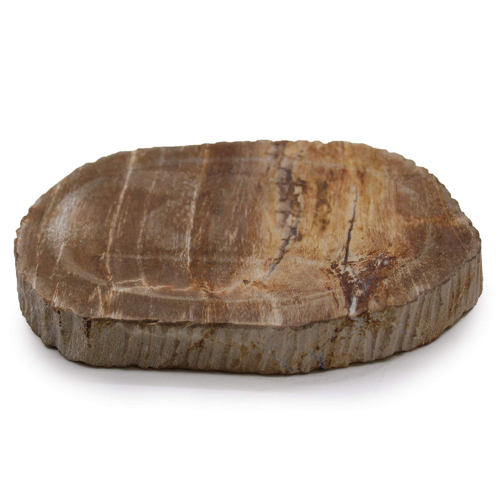 Seifenschale aus Versteinertem Holz Braun