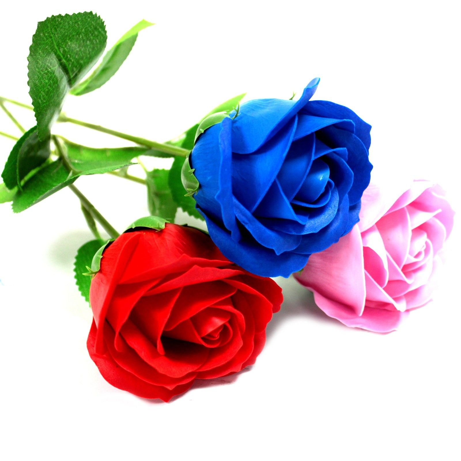 bG9jYWw6Ly9tZWRpYS9TUC9BRC82MFIzMEMxRzZHVjNBRFNQLzE5YmI3OGNhLmpwZWc-1.jpg Seifenblume Rose Blau Einzelne Badeblume Geschenkidee